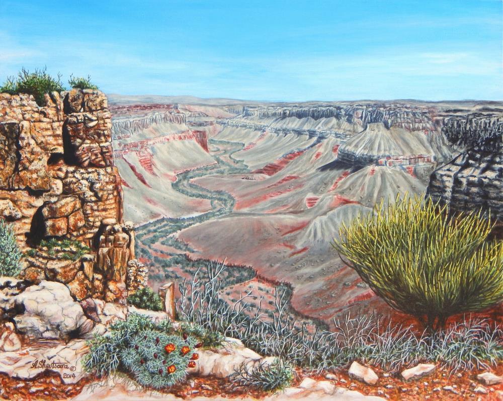 Kanab Creek Canyon after the Rain